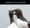 Chłop nie wytrzymał 