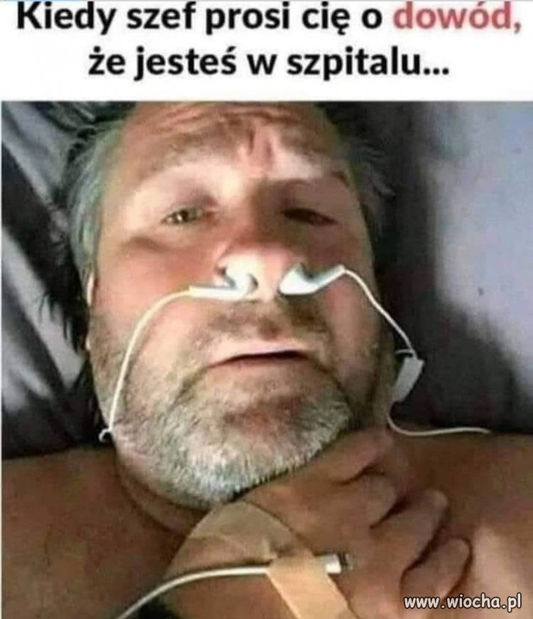 Szef nie wierzy, dopóki nie zobaczy