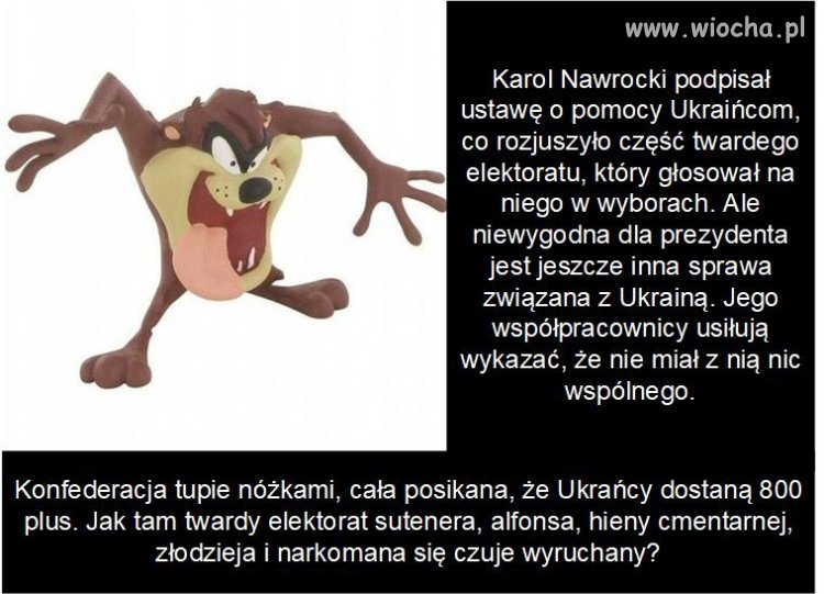 Karol Nawrocki zawiódł twardy elektorat.