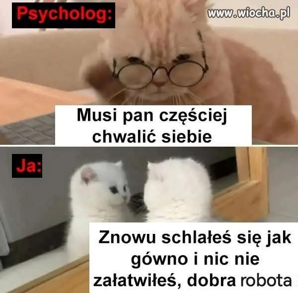 Tak to  wygląda i za to właśnie ...