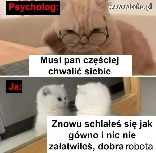 Tak to  wygląda i za to właśnie ...