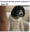 Każdy w corpo 
