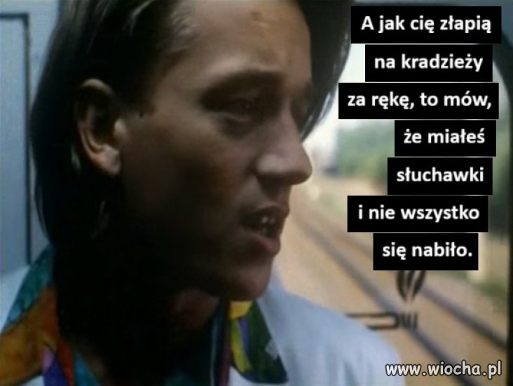 Młode wilki