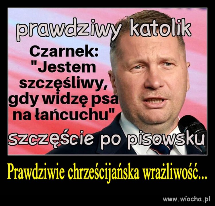 Kto z Was chciałby zobaczyć czarnka na łańcuchu ?