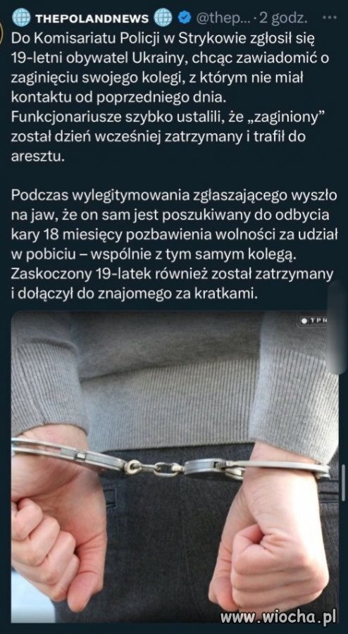 Inteligencja nie grzeszy 