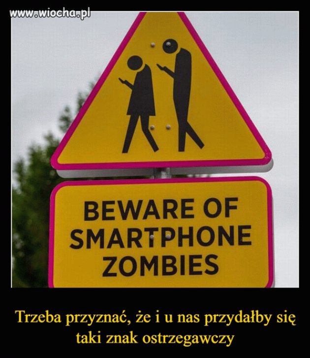 Dokładnie tak