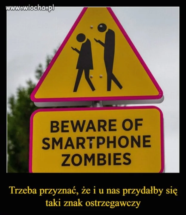 Dokładnie tak