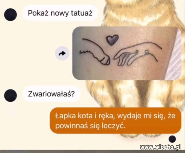 Kocia łapka 