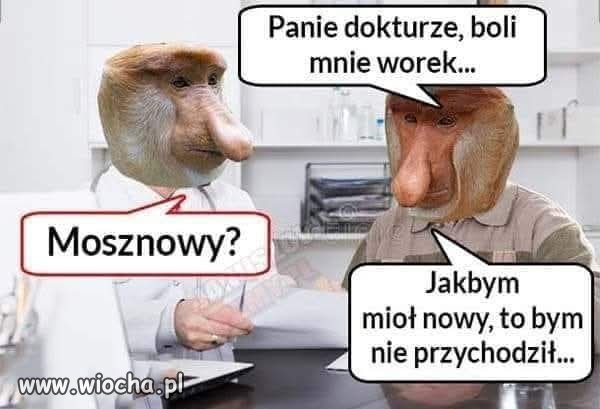 Na głupie pytanie, głupia odpowiedź