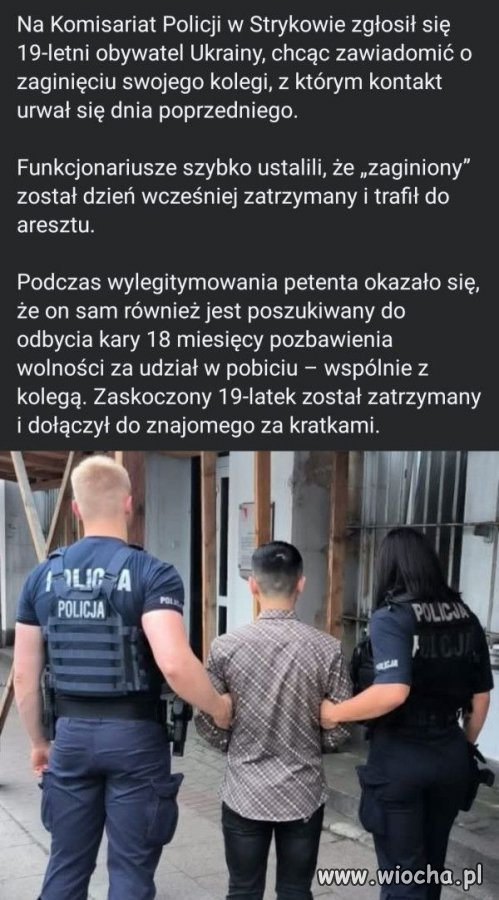 Co za pech.