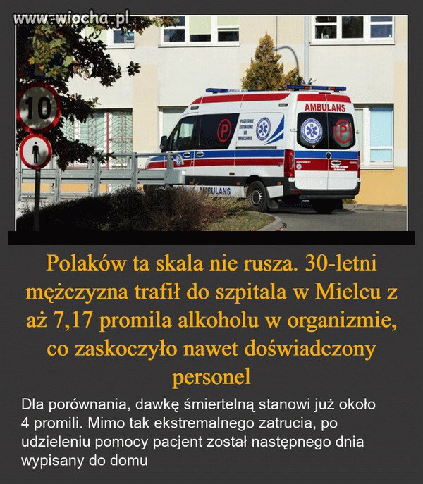 Polak potrafi 