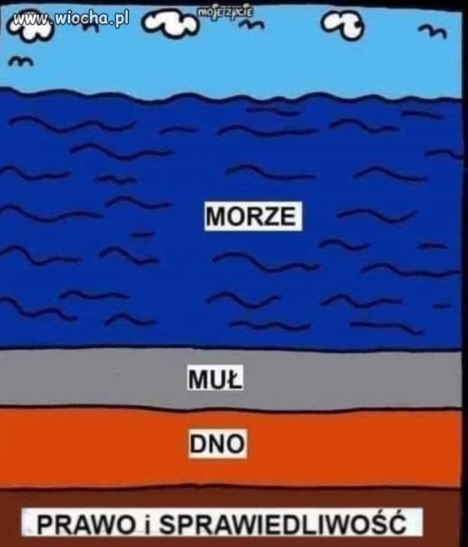 Potwierdzam