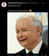 Mi nie pasi 