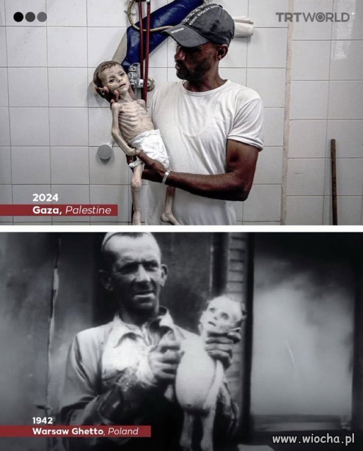 Najbardziej humanitarna