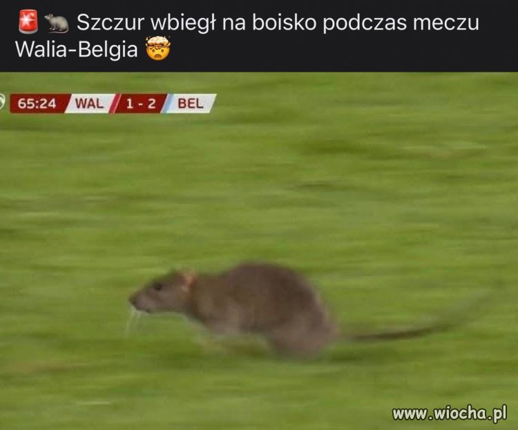 Nowy transfer z kanałów