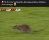 Nowy transfer z kanałów