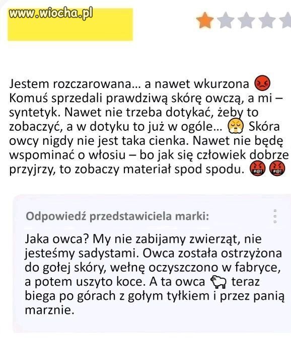 I awantura o skórę z owcy 