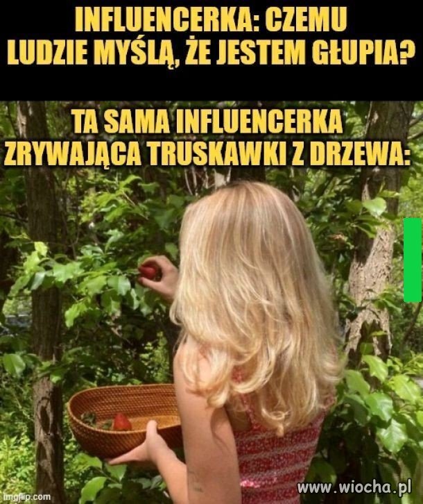 Niesłusznie oskarżona o brak inteligencji