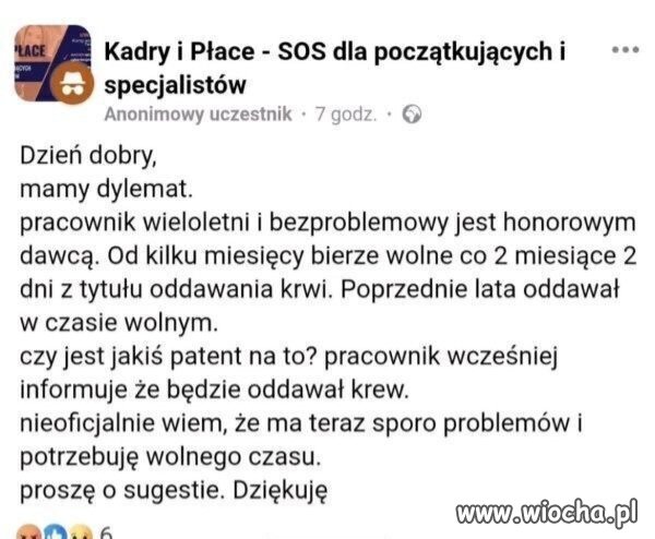 Pracodawca roku 
