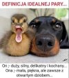 Idealna para.