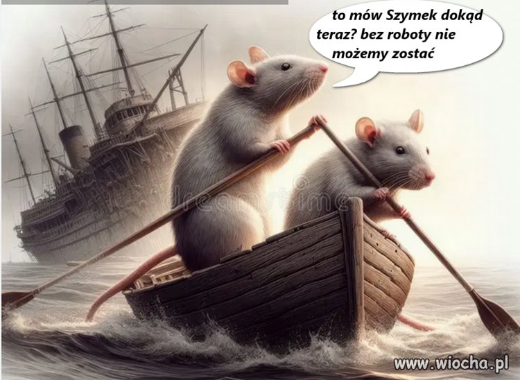 Komentarz