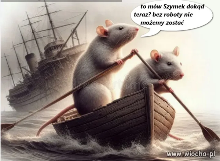 Komentarz