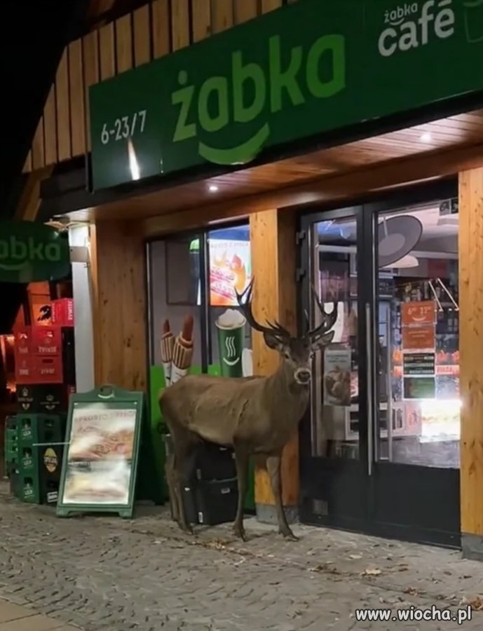 Jak to nie ma... 