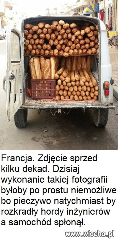 Sami tego chcieli