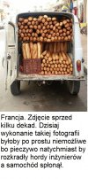 Sami tego chcieli