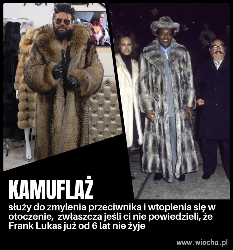 Król Harlemu vs misiaczek z Teresina 