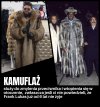 Król Harlemu vs misiaczek z Teresina 