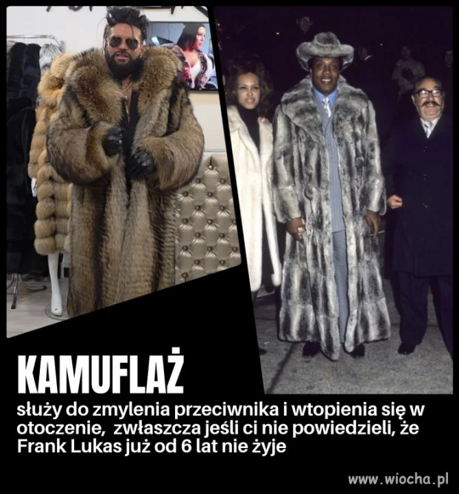 Król Harlemu vs misiaczek z Teresina 
