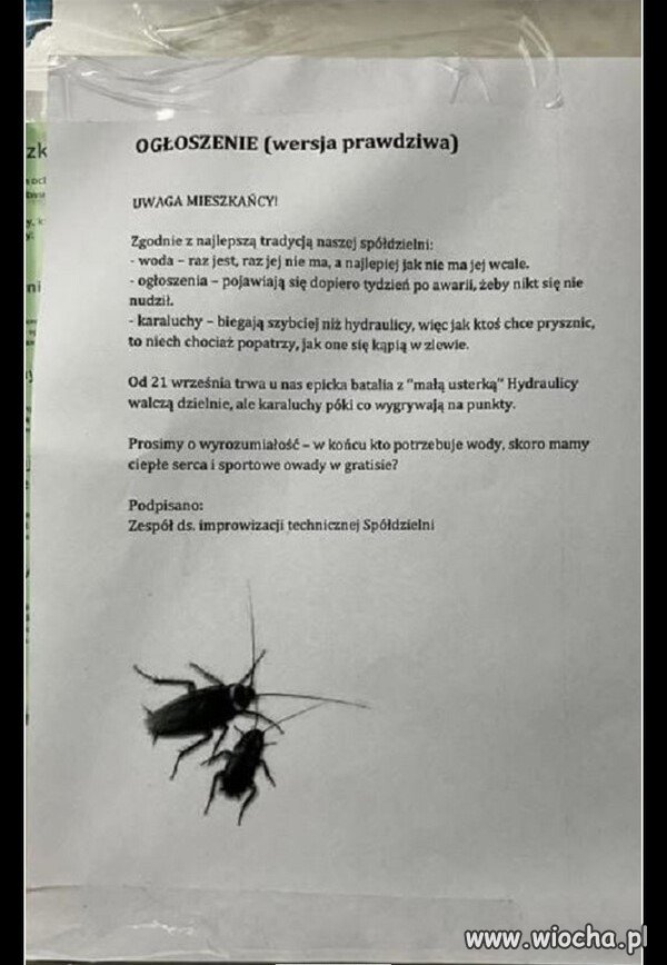 List otwarty 