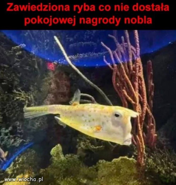 To spojrzenie mówi: ?Nie warto było być miłą?