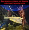 To spojrzenie mówi: ?Nie warto było być miłą?