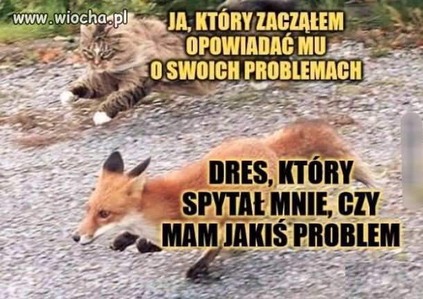 Ej czekaj nie uciekaj 