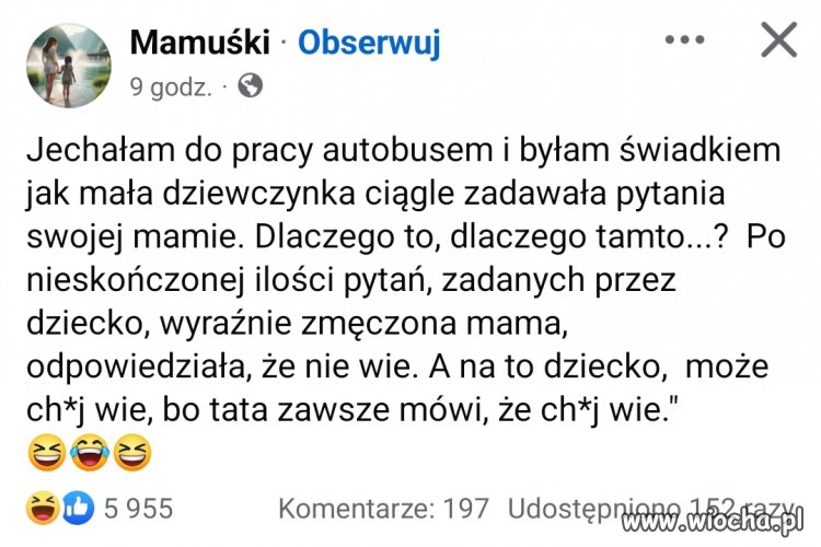 Zdecydowanie 