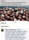 Afera kasztanowa w Pile