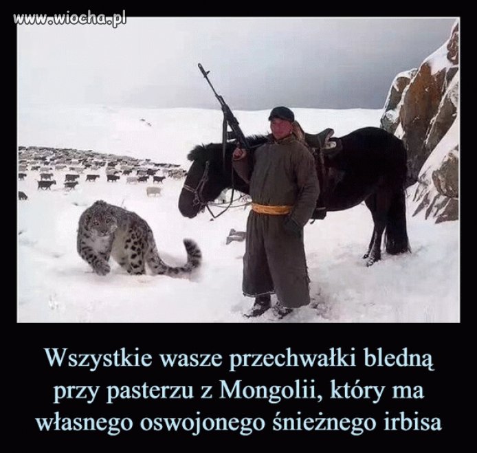 I to jest prawdziwy pasterz