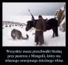 I to jest prawdziwy pasterz