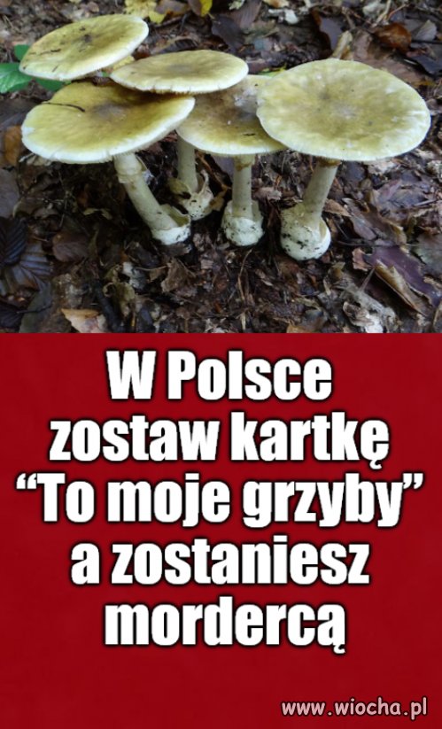 Kaprawym okiem ateisty patrząc ...