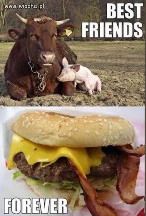 Happy meal