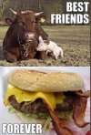 Happy meal