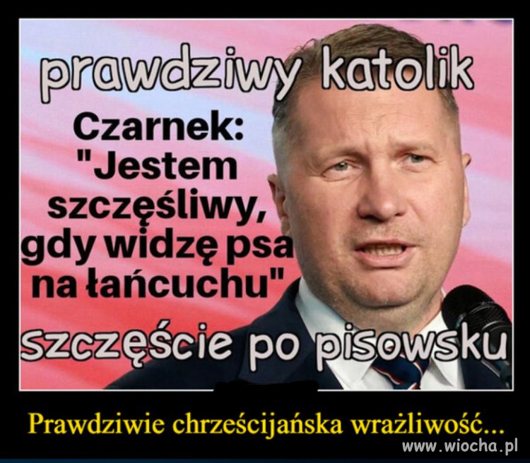 Tak, psy potrafią wyczuć „złego człowieka”...