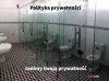 Gdy wstawiasz coś do internetu.