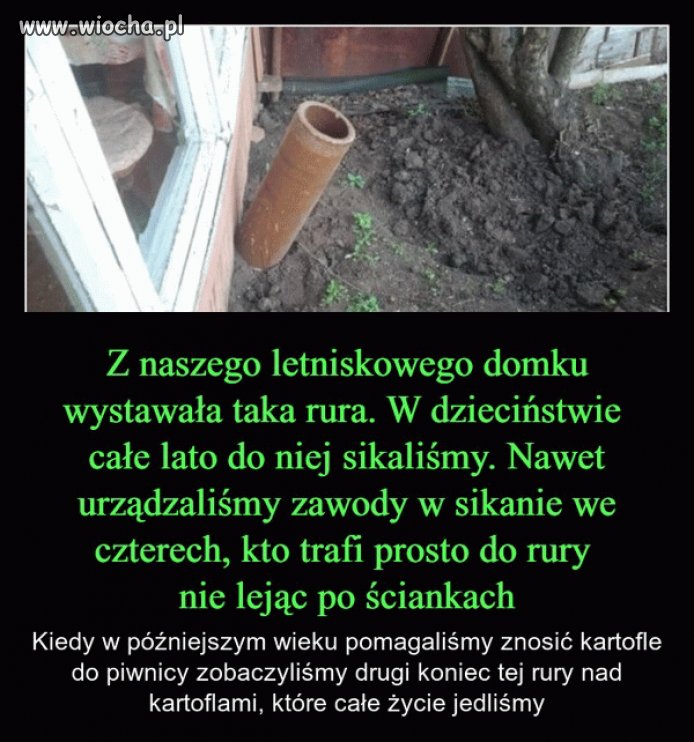 Chciałbym widzieć ich miny wtedy