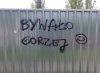 Optymista z blachy