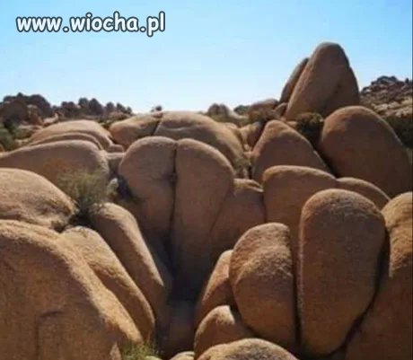 Kiedy jesteś na wakacjach 
