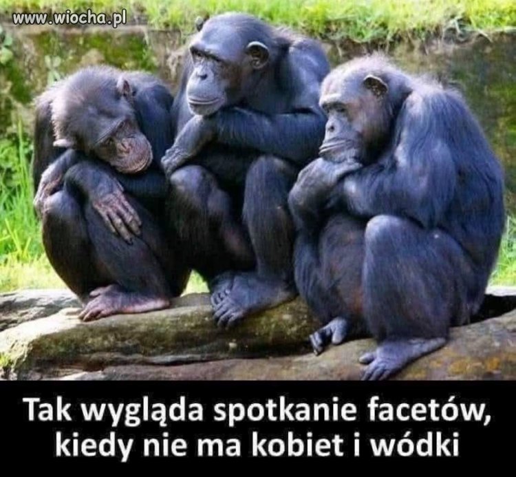 Panel dyskusyjny: sens życia po 22:00