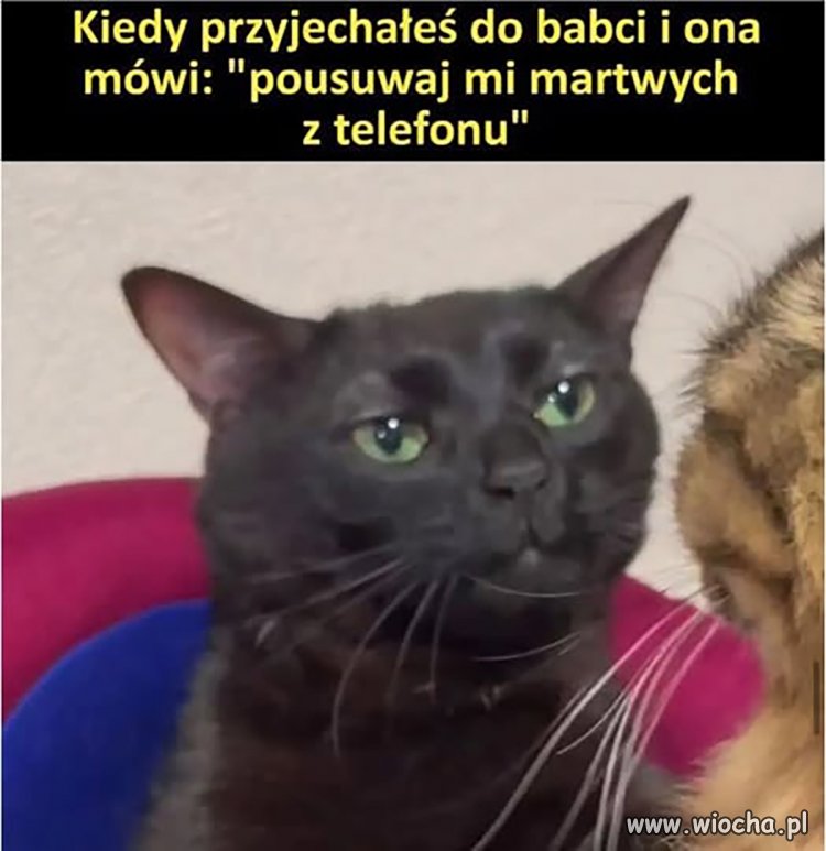 Taka sytuacja 
